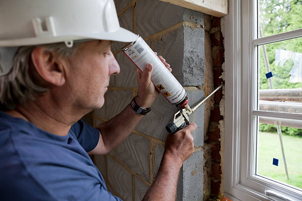 Best Residential Insulation in Csar Chvez, TX